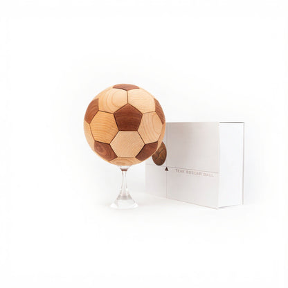 Plymagic Assembly Model -  Soccer Ball