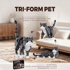 Plymagic Assembly Model - Pet building blocks