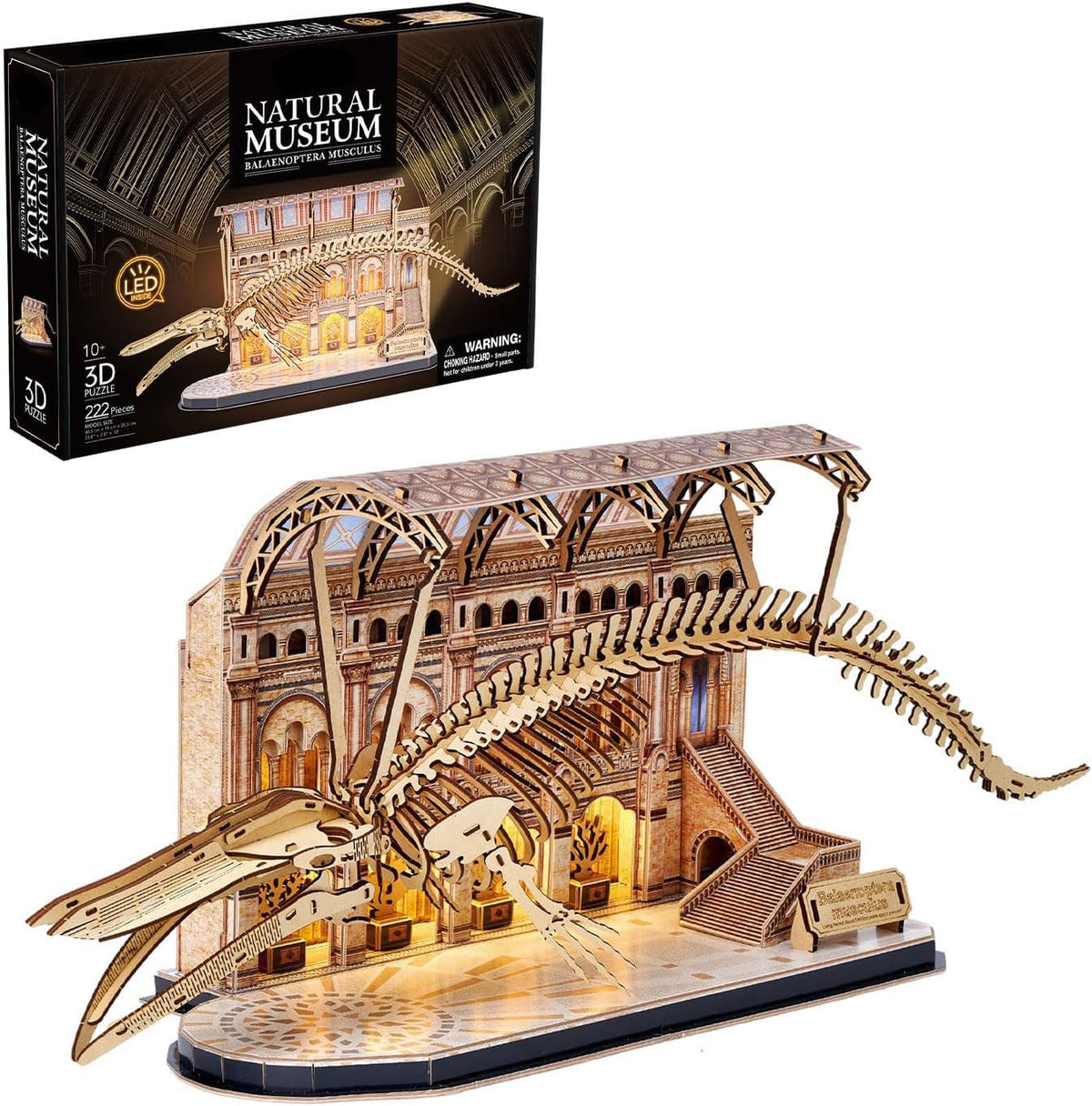 Plymagic Assembly Model - Dinosaur Museum