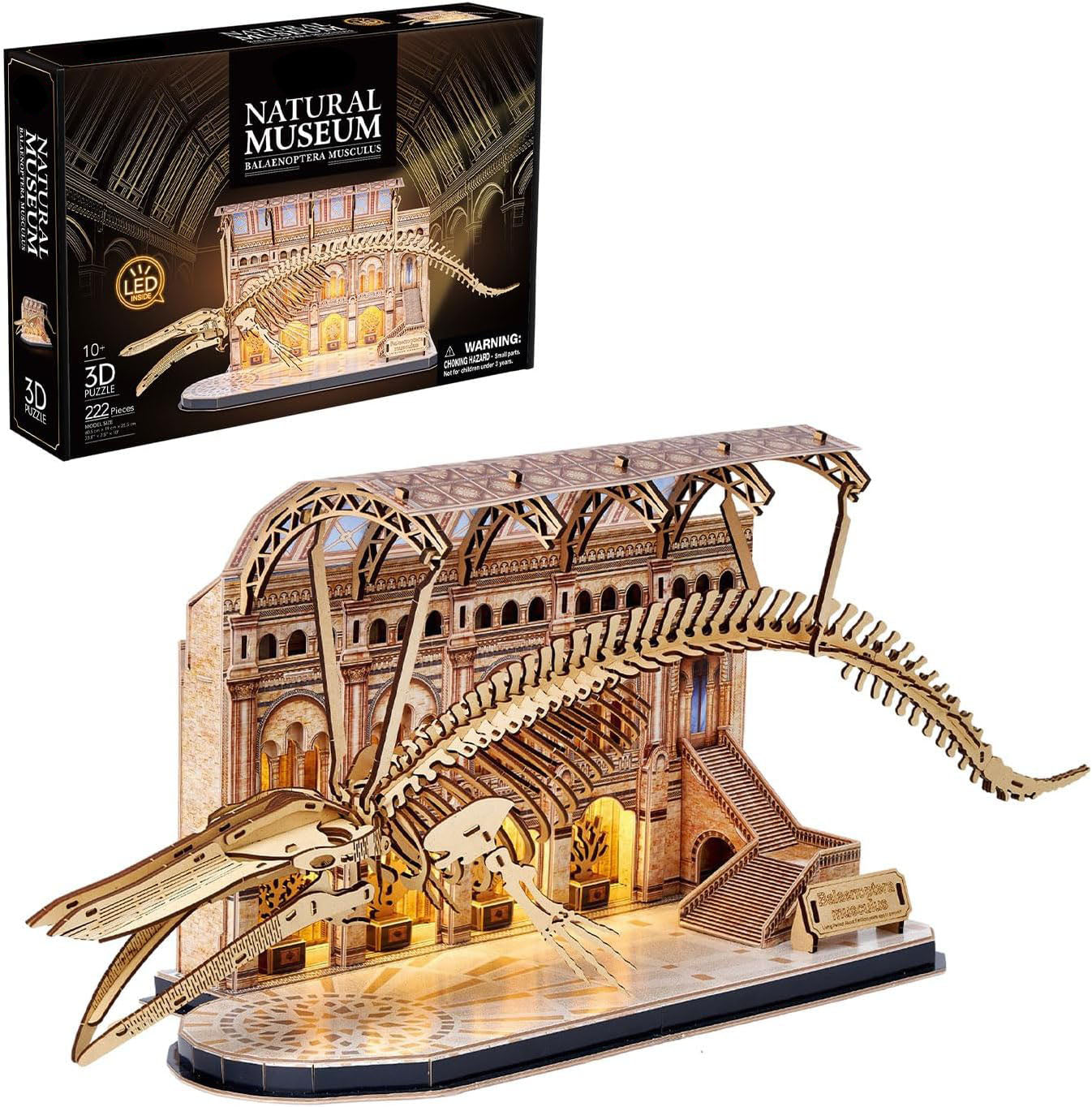 Plymagic Assembly Model - Dinosaur Museum