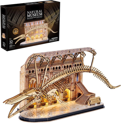 Plymagic Assembly Model - Dinosaur Museum