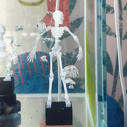 Skull-shaped aquarium air bubbler